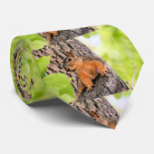 Bashful Stropdas (Opgerold)