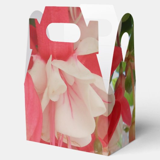 Bashkirtseff Bedankdoosjes (Geopend)