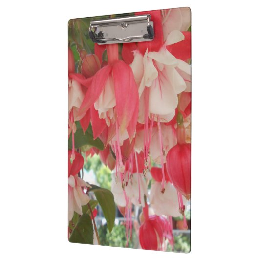 Bashkirtseff Klembord (Links)