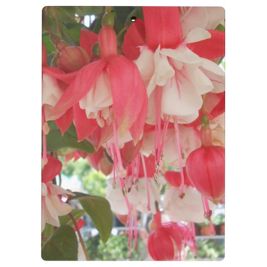 Bashkirtseff Klembord (Achterkant)