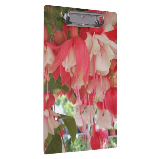 Bashkirtseff Klembord (Rechts)