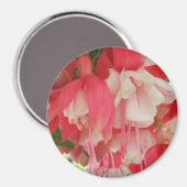 Bashkirtseff Magneet (Voorkant / Achterkant)