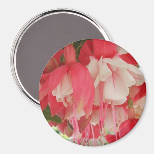 Bashkirtseff Magneet (Voorkant / Achterkant)