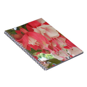 Bashkirtseff Notitieboek