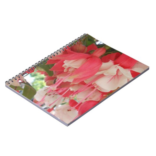 Bashkirtseff Notitieboek (Linkerzijde)