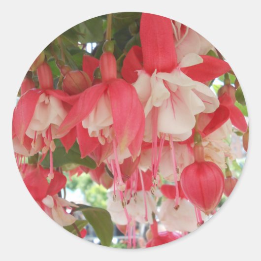 Bashkirtseff Ronde Sticker (Voorkant)