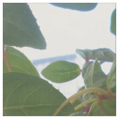 Bashkirtseff Stof (Close Up)