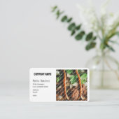 BASIC SJABLOON VISITEKAARTJE, Taqueria Visitekaartje (Staand voorkant)