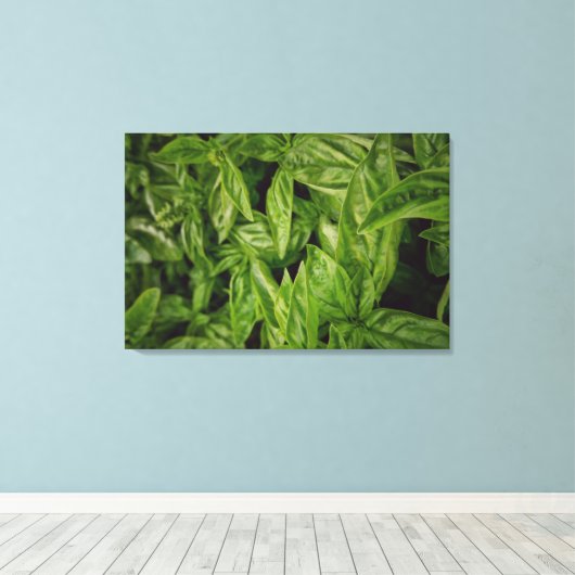 Basil Canvas (Insitu (Houten vloer))