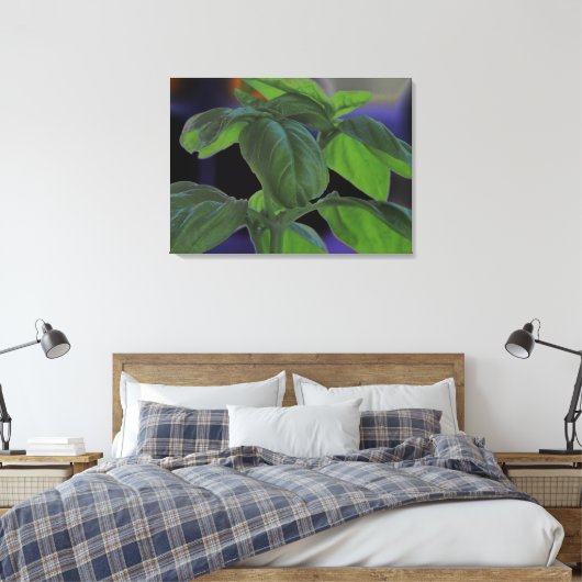 Basil Closeup, vers Canvas Afdruk (Insitu (Slaapkamer))