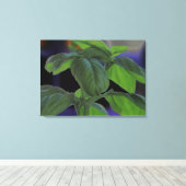 Basil Closeup, vers Canvas Afdruk (Insitu (Houten vloer))