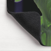 Basil Closeup, vers Muismat (Hoek)