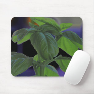 Basil Closeup, vers Muismat