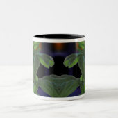 Basil Closeup, vers Tweekleurige Koffiemok (Center)