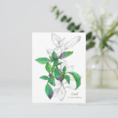 Basil Cooking Kruid Waterverf Illustratie Briefkaart (Staand voorkant)