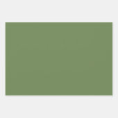 Basil & Dill Wrapping Paper Flat Sheet Set of 3 (Voorkant 3)