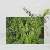 Basil Fine Art Aankondiging (Staand voorkant)