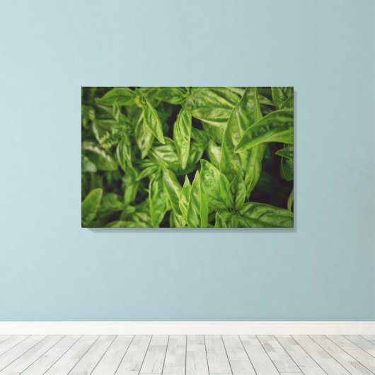 Basil Fine Art Canvas Afdruk (Insitu (Houten vloer))
