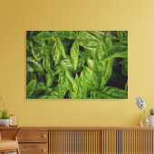 Basil Fine Art Canvas Afdruk (Insitu (Woonkamer))