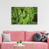 Basil Fine Art Canvas Afdruk (Insitu (Woonkamer))