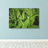 Basil Fine Art Canvas Afdruk (Insitu (Houten vloer))