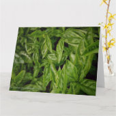 Basil Fine Art Kaart (Gele Bloem)