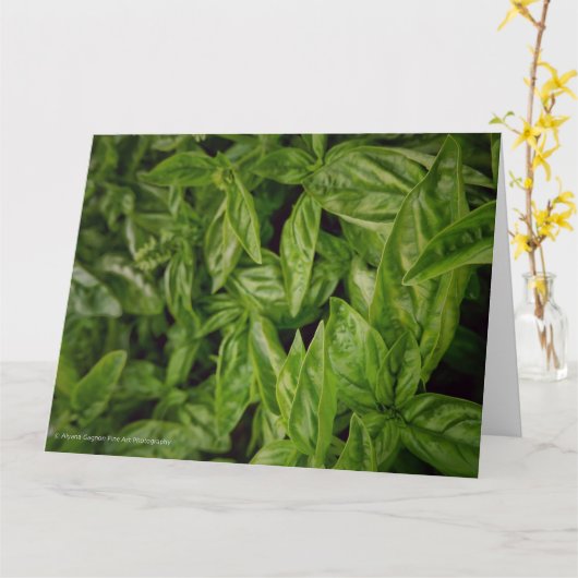 Basil Fine Art Kaart (Gele Bloem)