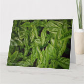Basil Fine Art Kaart (Voorkant)