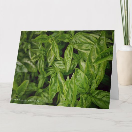 Basil Fine Art Kaart (Voorkant)