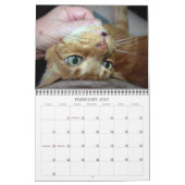 Basil Ginger Cat Personalized Agenda 2023 Kalender (Feb 2027)