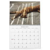Basil Ginger Cat Personalized Agenda 2023 Kalender (Mar 2027)