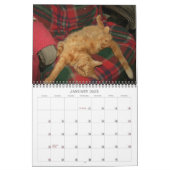 Basil Ginger Cat Personalized Agenda 2023 Kalender (Jan 2025)