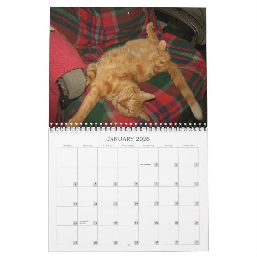 Basil Ginger Cat Personalized Agenda 2023 Kalender (Jan 2026)