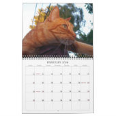 Basil Ginger Cat Personalized Agenda 2024 Kalender (Feb 2026)