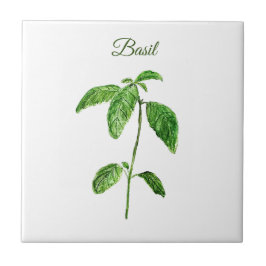 Basil Herb Greenery Kitchen Culinary Green Rustic Tegeltje