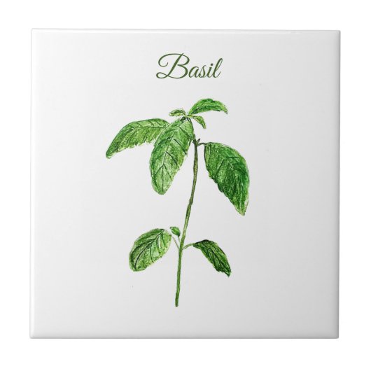 Basil Herb Greenery Kitchen Culinary Green Rustic Tegeltje (Voorkant)