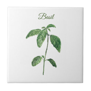 Basil Herb Greenery Kitchen Culinary Green Rustic Tegeltje