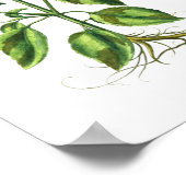 Basil Herb Kitchen Decor Wall Art Poster (Hoek)