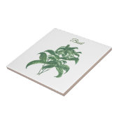 Basil Herbs Greenery Keuken Groen Plant Tegeltje (Zijkant)