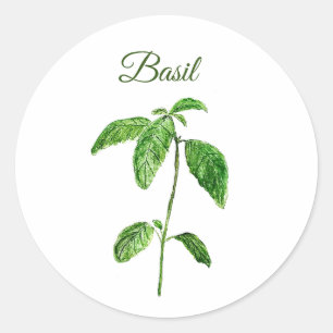 Basil Herbs Waterverf Keuken Groen Rustiek Ronde Sticker