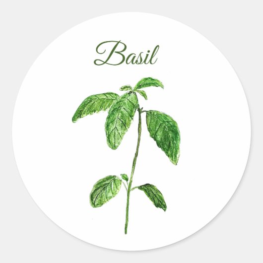 Basil Herbs Waterverf Keuken Groen Rustiek Ronde Sticker (Voorkant)