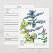 Basil Keuken Koken Medicinale Kruid Kaart (Voorkant / Achterkant)