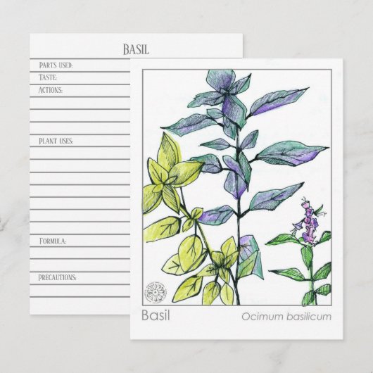 Basil Keuken Koken Medicinale Kruid Kaart (Voorkant / Achterkant)