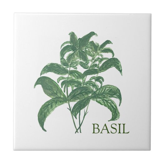 Basil Kruid Groen Keuken Culinair Groen Tegeltje (Voorkant)