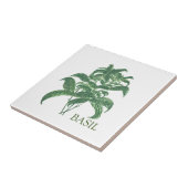Basil Kruid Groen Keuken Culinair Groen Tegeltje (Zijkant)