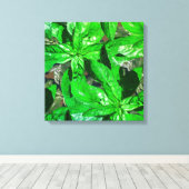 Basil laat foto kunst verpakt canvas (Insitu (Houten vloer))