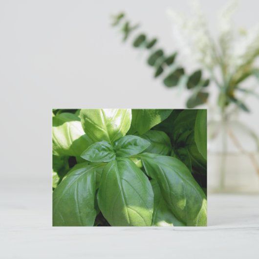 Basil Leaves Briefkaart (Staand voorkant)