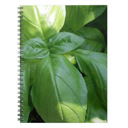 Basil Leaves Notitieboek (Voorkant)