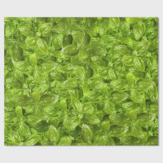 Basil Leaves Pattern Cadeaupapier (Vlak)