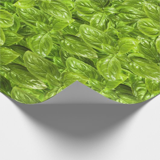 Basil Leaves Pattern Cadeaupapier (Hoek)